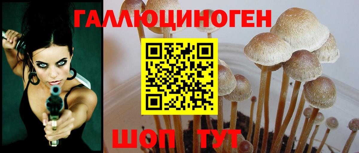 Галлюциногенные грибы ЛСД Бийск