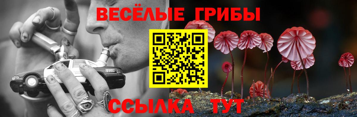 Галлюциногенные грибы мицелий  Псилоцибиновые грибы GOLDEN TEACHER  как найти закладки  Бийск  Вход с VPN 